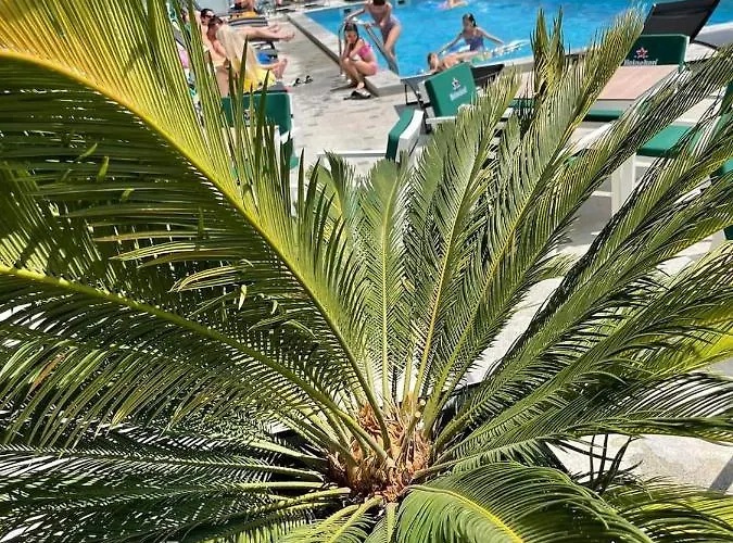 Sienna - Mamaia Nord Appartement